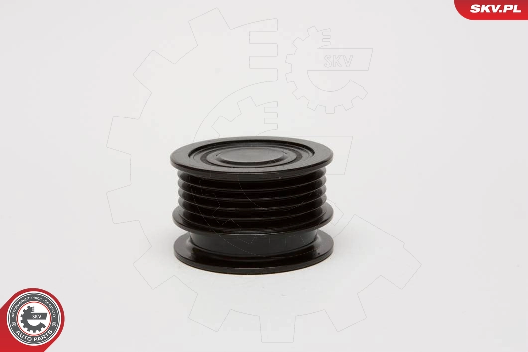 Alternator Freewheel Clutch